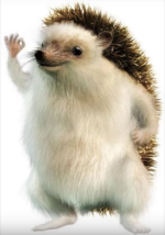 ok_hedgehog_by_jack13991_dcb5rvh.png